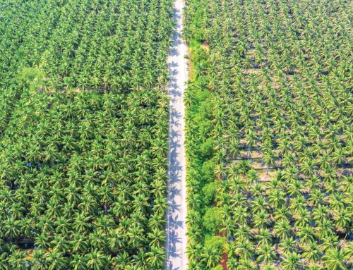 Delivery to Remote Agro-Industrial Plants